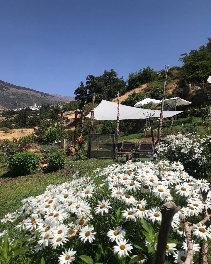 "Casa Ibero" Bubion, Alojamiento Turistico Rural Esterno foto