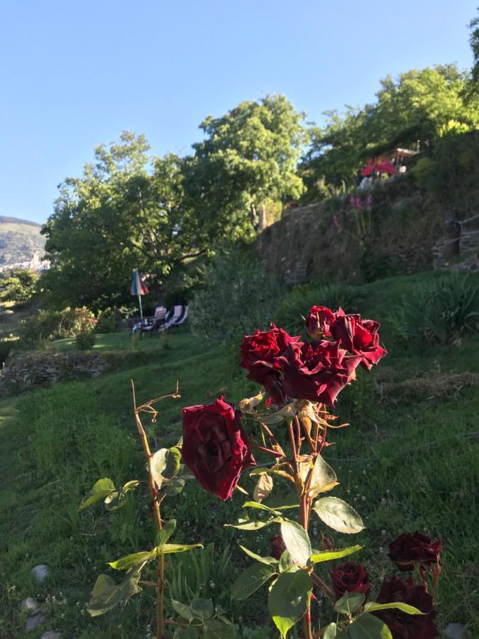 "Casa Ibero" Bubion, Alojamiento Turistico Rural Esterno foto